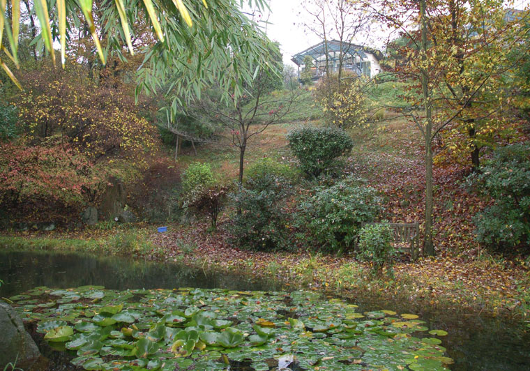 Copyright: Mathias Overbeck